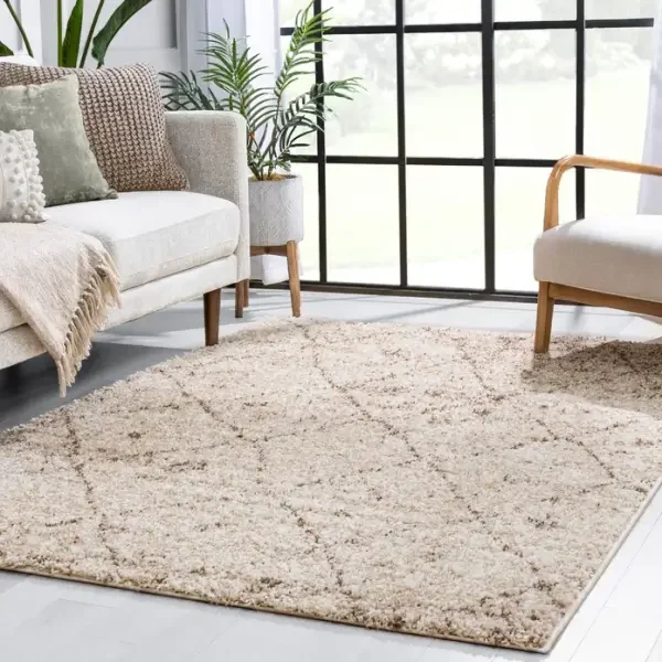 Area Rugs