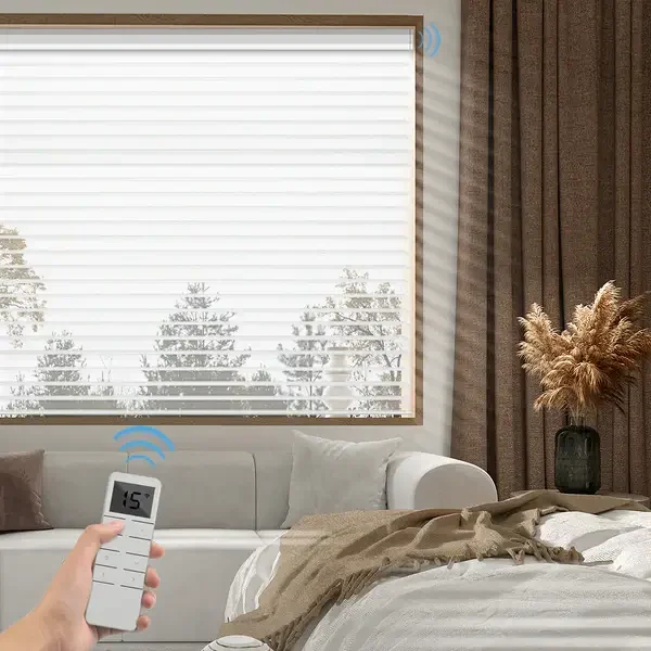 Smart Blinds